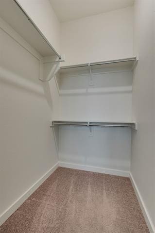 Building Photo - 1209 Casselberry Dr