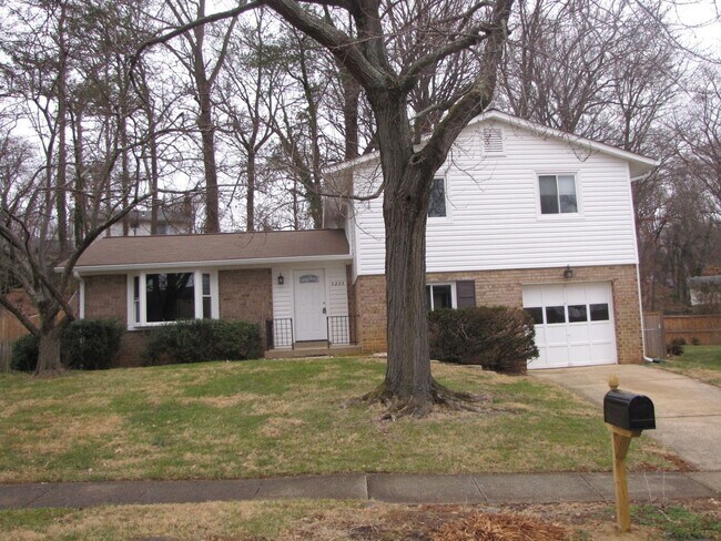 Primary Photo - Renovated 4 level single family home in Ki...