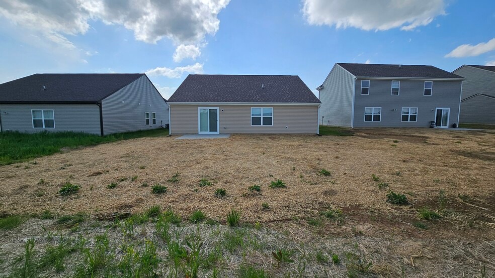 Backyard - 4209 Tingle Dr