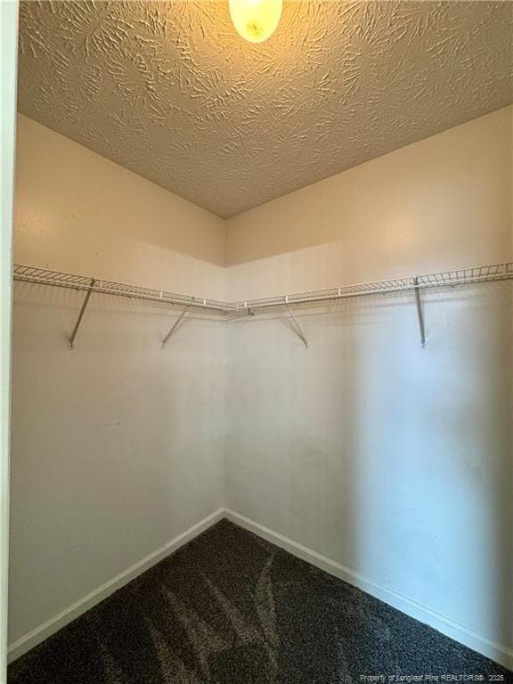 Building Photo - 2109 Calista Cir