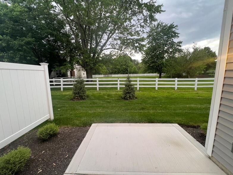 backyard lawn - 6527 Wheatly Rd