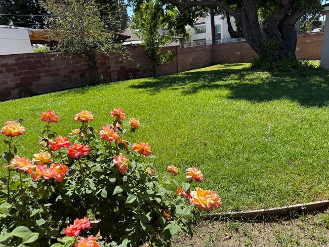 Building Photo - Newly Renovated Single-Family Home in Sun ...