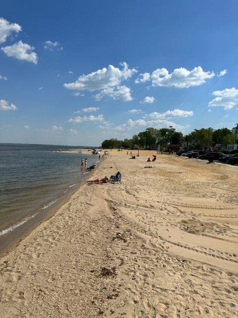 Building Photo - 702 Garfield Ave