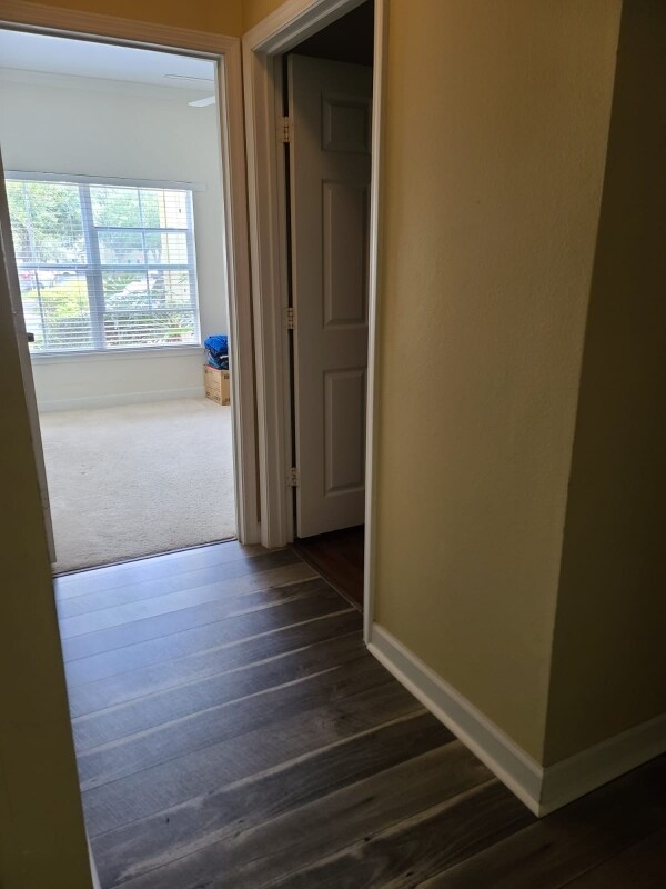 Building Photo - 1Bridle Bridle Club Dr