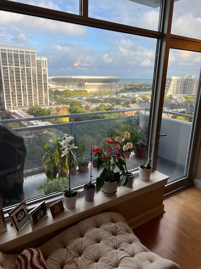 Building Photo - 1305 S Michigan Ave