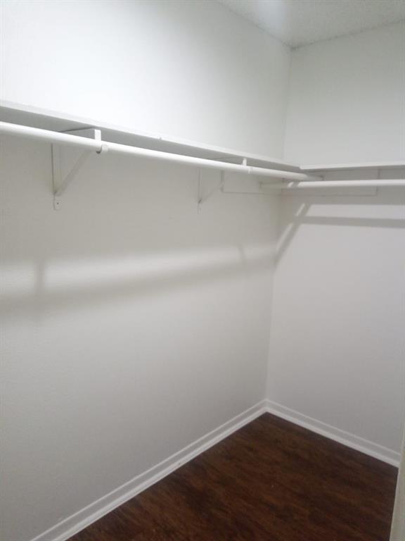 Building Photo - 3762 Tanglewilde St