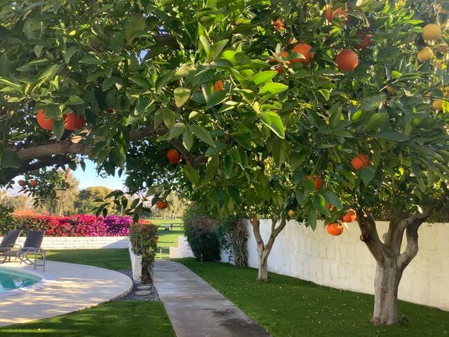 Building Photo - 79188 Bog Walk Ct