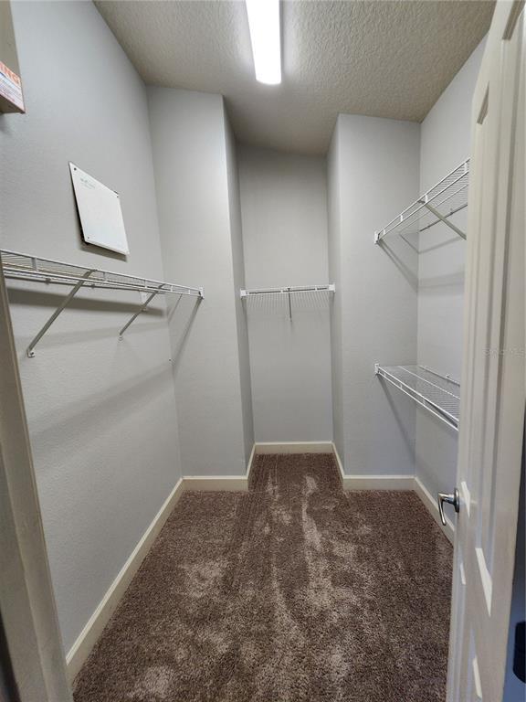 Building Photo - 3348 Cat Brier Tr