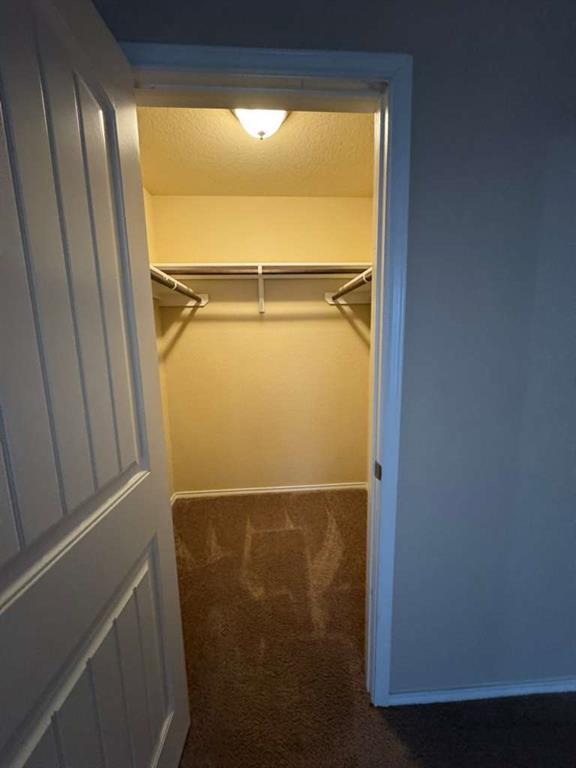 Building Photo - 9626 Common Law