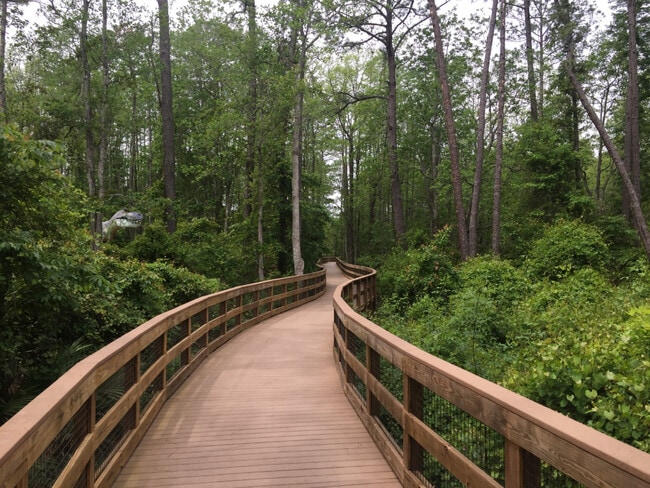 Building Photo - 11690 Surfbird Cir