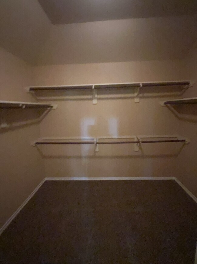 Building Photo - 808 Katydid Ct