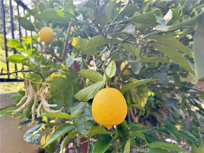 Building Photo - 14 Cala D Or