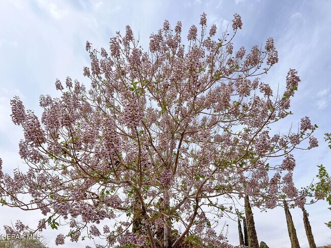 Building Photo - 1316 Hookridge Dr