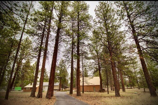 Building Photo - Fantastic 3-Bdr Home with Private Airport Access!