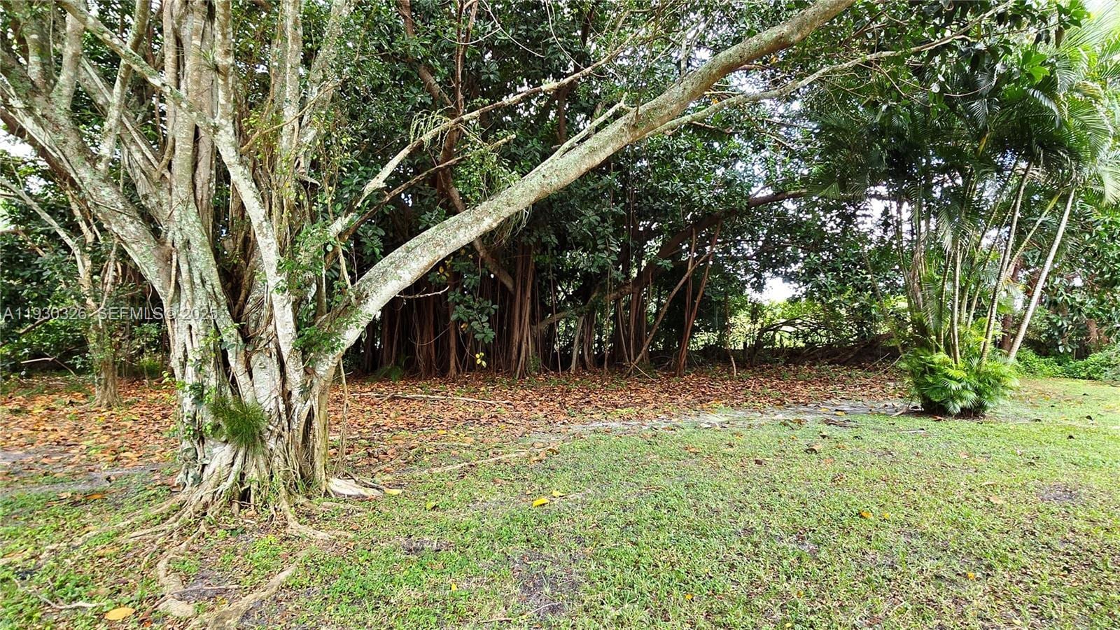 Building Photo - 1910 Palmland Dr