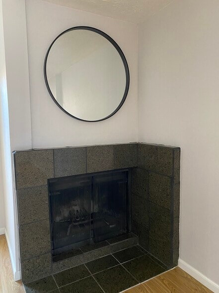 Working Fireplace - 2732 Calle Anna Jean