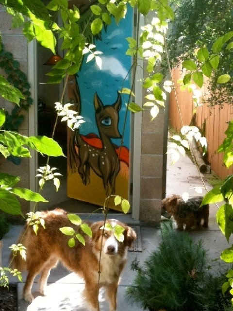 Front door - 818 1/2 California Ave