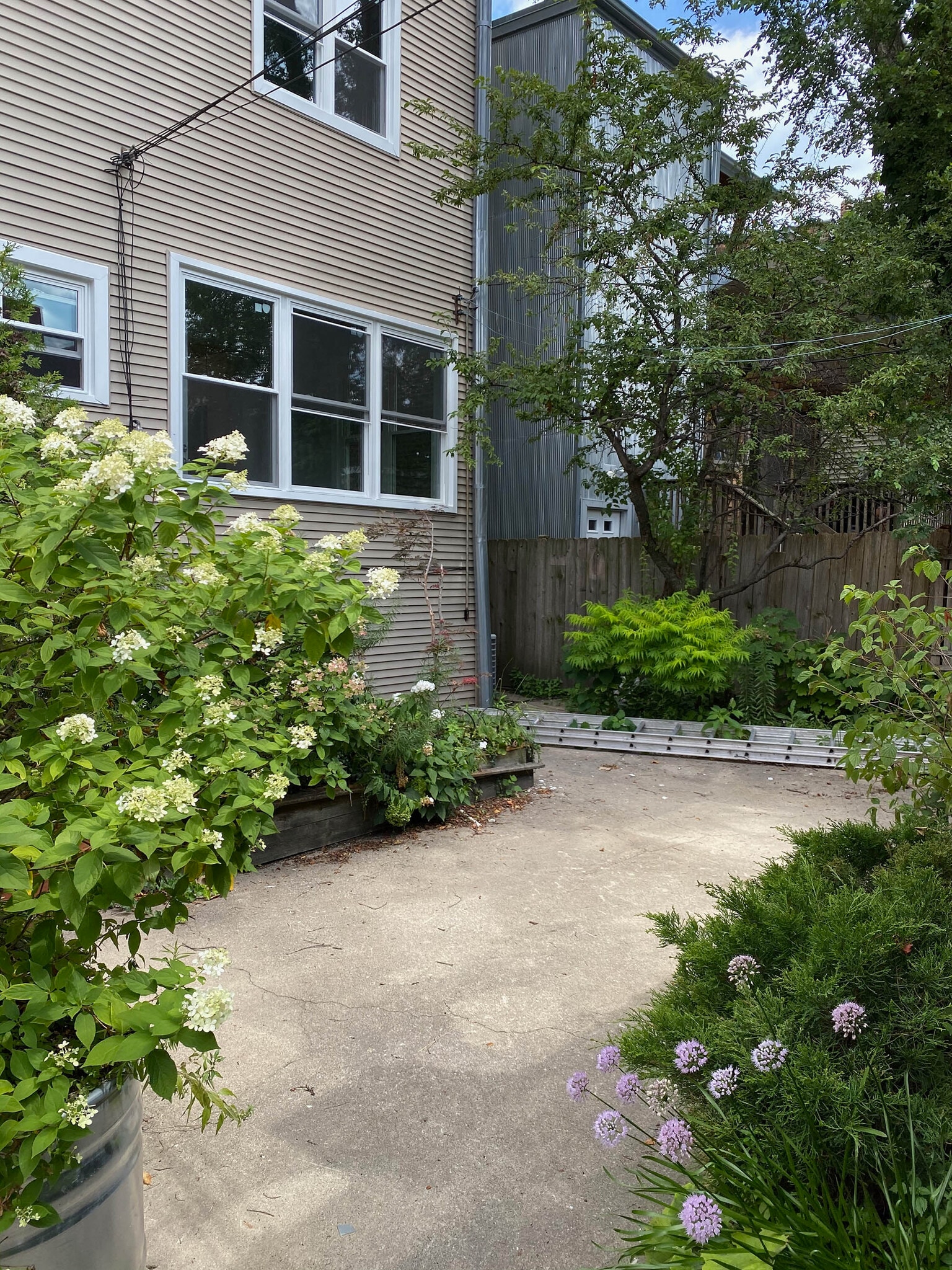 Back Yard - 1643 W Carmen Ave