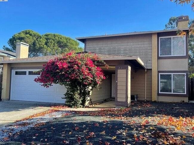 Primary Photo - 24126 Machado Ct