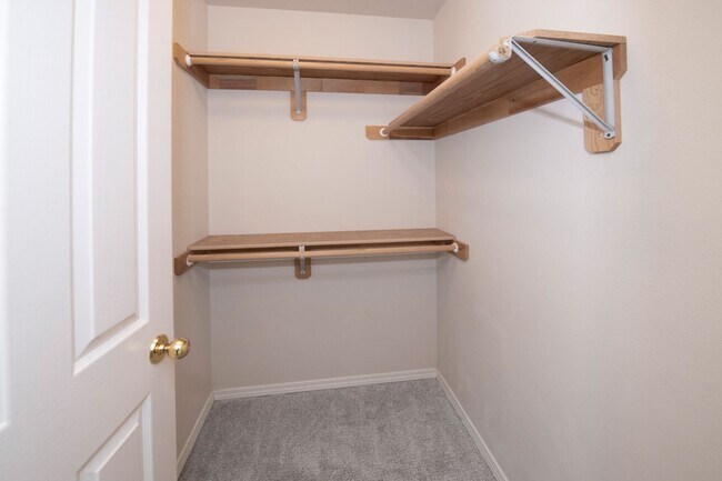Building Photo - 5423 Cape Seville Dr
