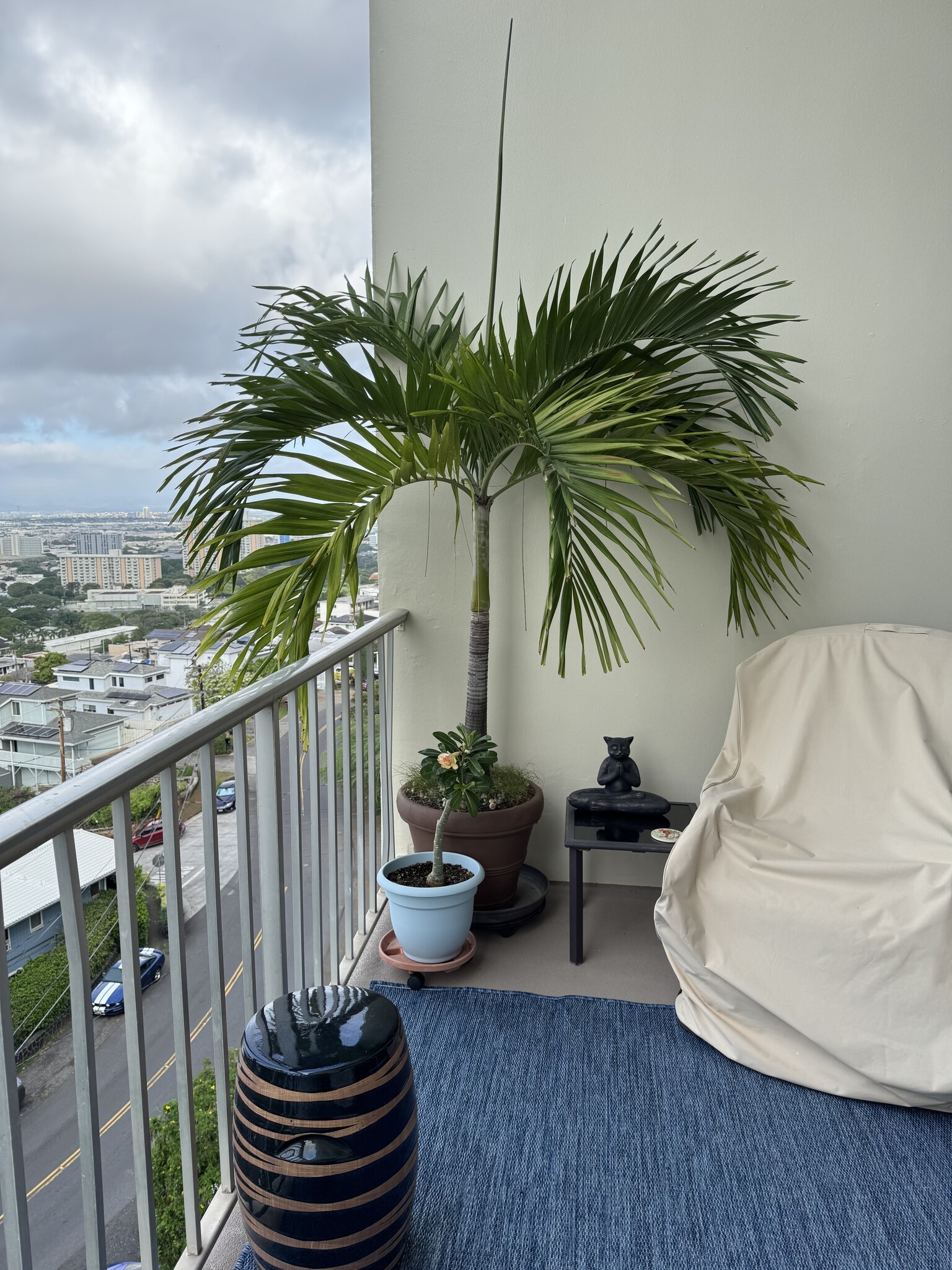 Building Photo - 666 Prospect St