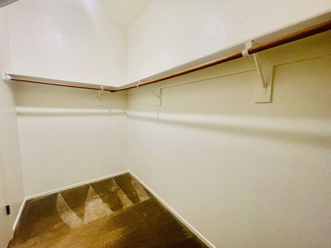 Building Photo - Stunning Single Story, 3 Home with Open Floor Plan on Cul-de-sac