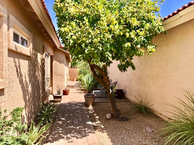 Building Photo - 8828 E Riviera Dr