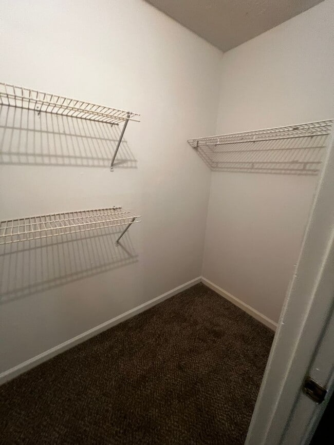 Building Photo - 2708 Greystone Ct