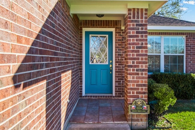 Building Photo - 2224 Shady Tree Ln