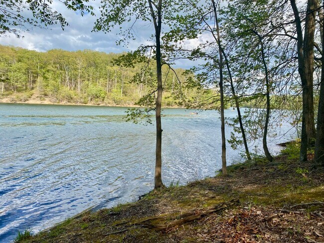 Building Photo - Nature Lover’s Dream! Beautiful 3-Bedroom ...