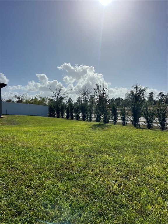 Building Photo - 2321 Mystic Maze Ln