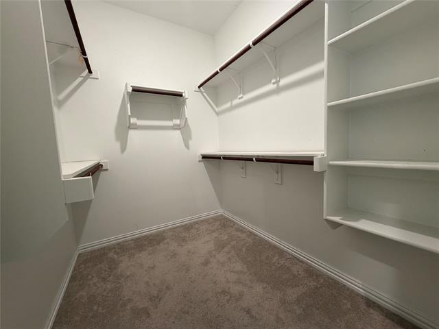 Building Photo - 2412 Bold Venture Dr