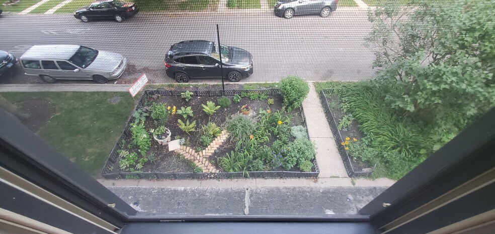 Front Garden - 6442 N Glenwood Ave