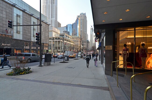 Building Photo - 535 N Michigan Ave