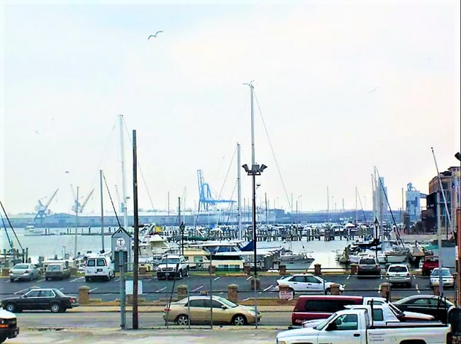 Building Photo - Quaint & Cozy 2 BR 2 BA in Fells Point/Canton Neighborhood Overlooking River