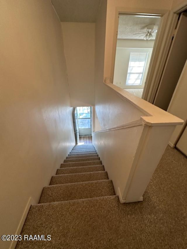 Building Photo - 40 Phlox Dr