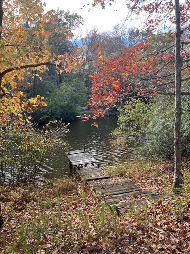 Building Photo - LAKE FRONT PARADISE