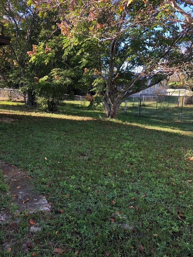 Building Photo - 1 Bed 1 Bath | Large Yard | Washer/Dryer H...