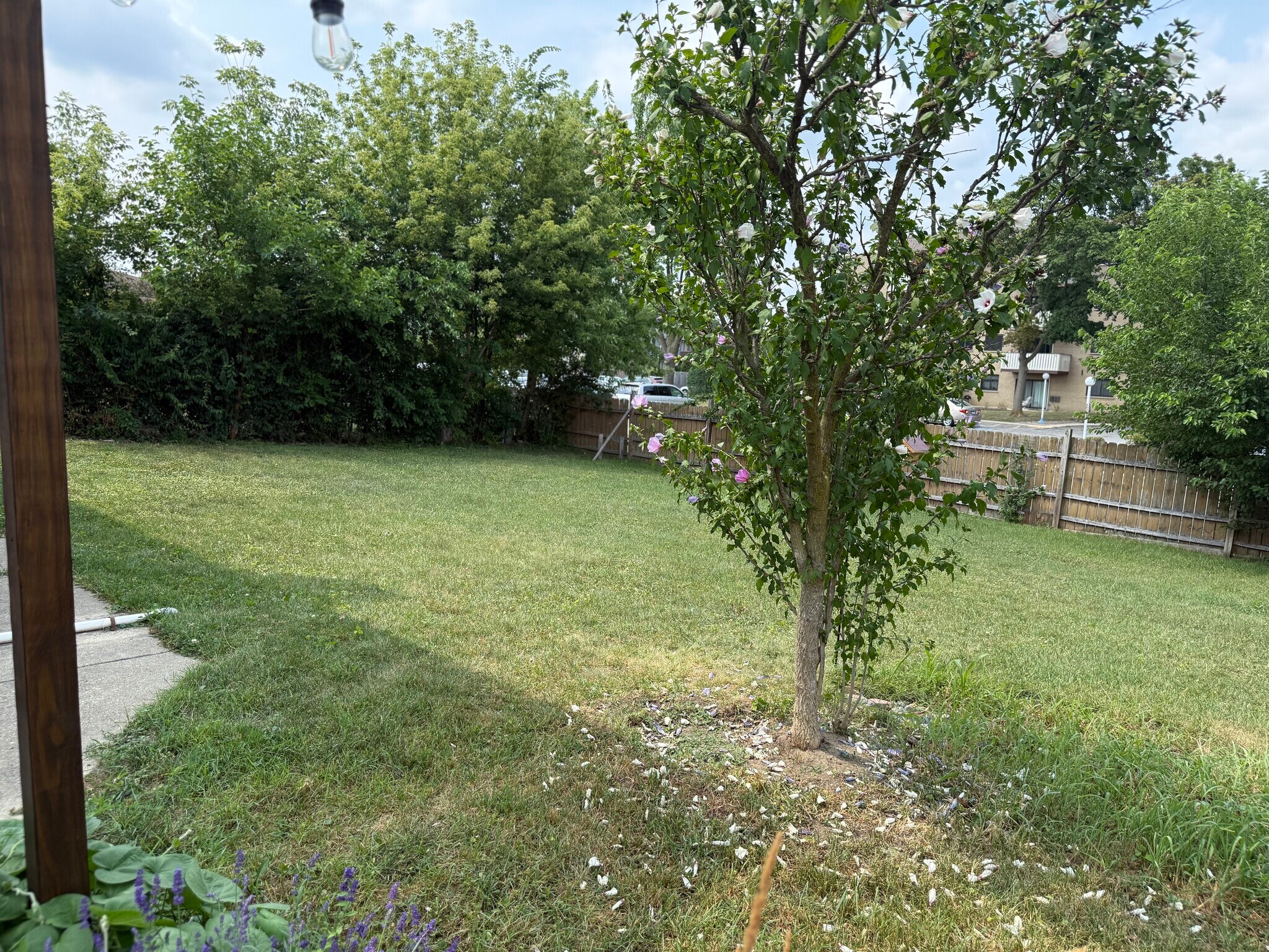 Building Photo - 1202 E Ardyce Ln