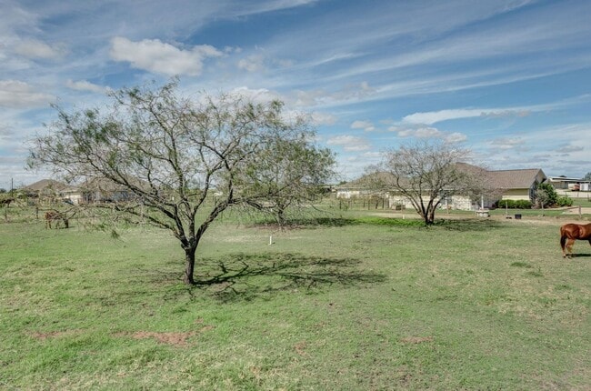 Building Photo - Live at Flying Ace Ranch!!