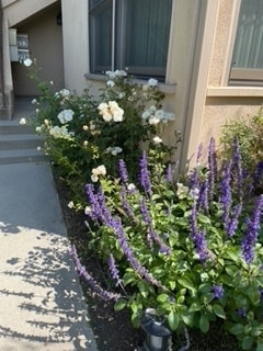 Building Photo - 5255 Via Campo St