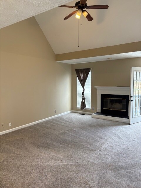 Downstairs Large Family/Living Area with Vaulted ceilings and Fireoplace and door to back deck - 2316 Peak Hill Cv