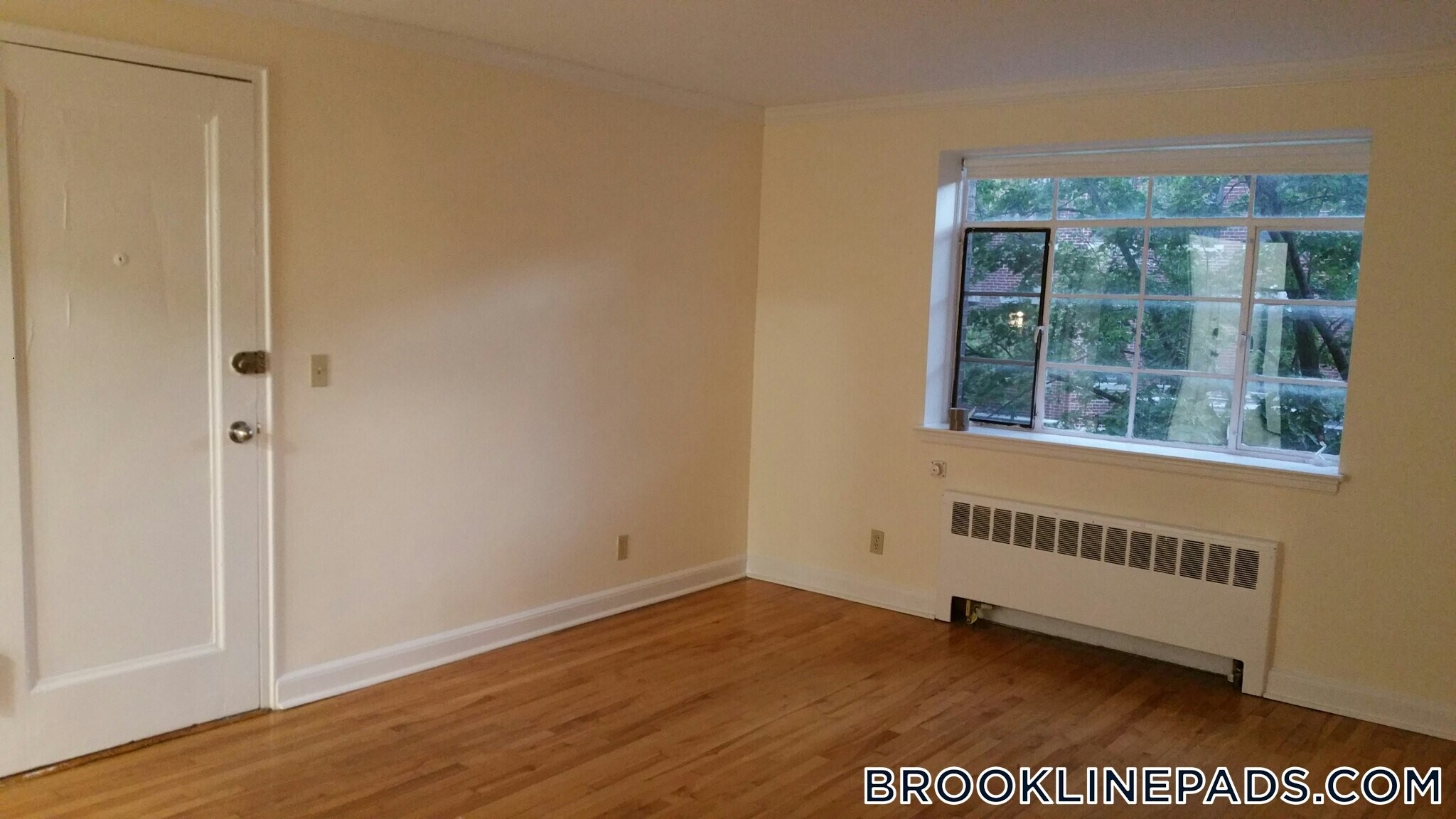 Building Photo - 50 Alton Pl