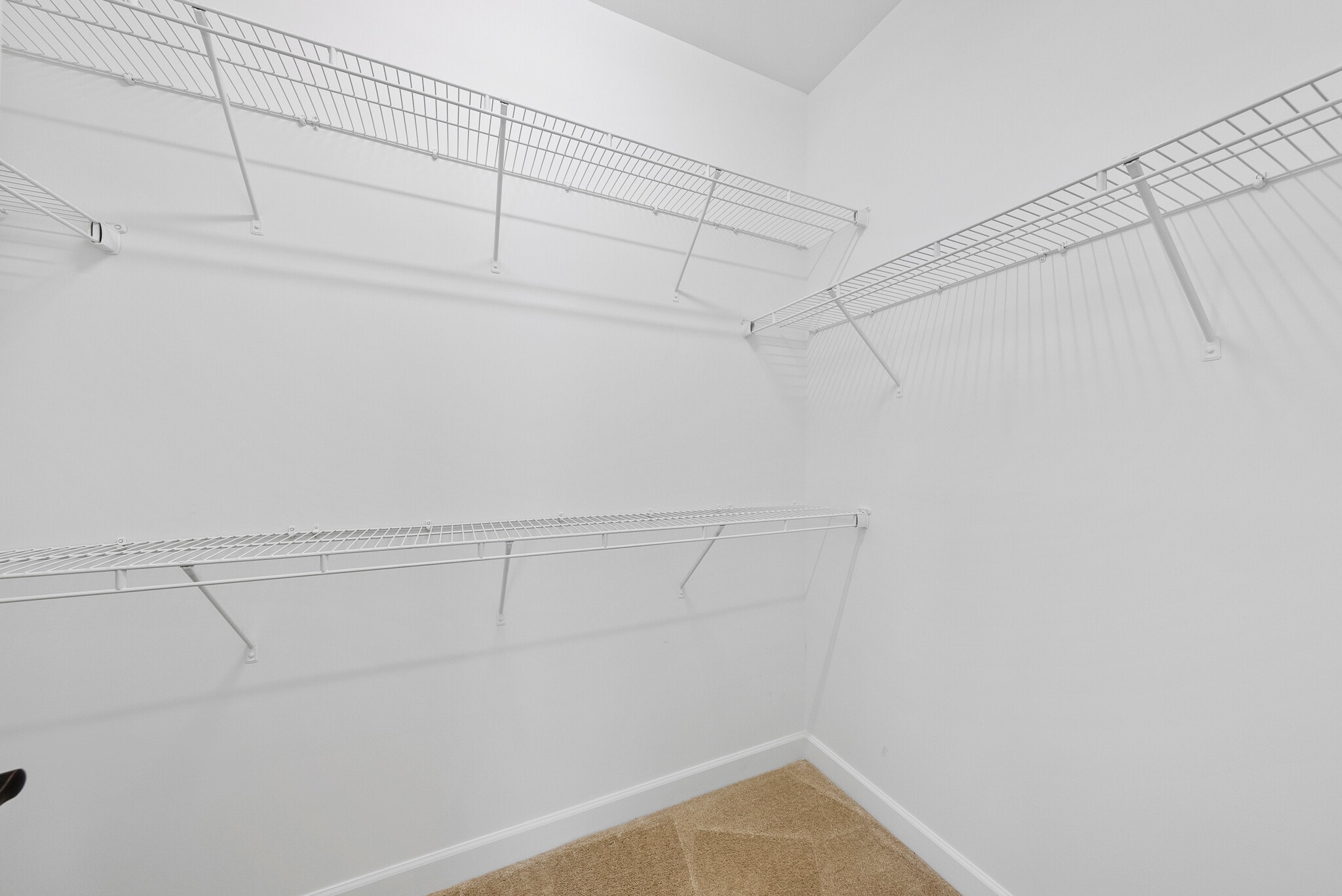 Building Photo - 1004 Crinoline Ln