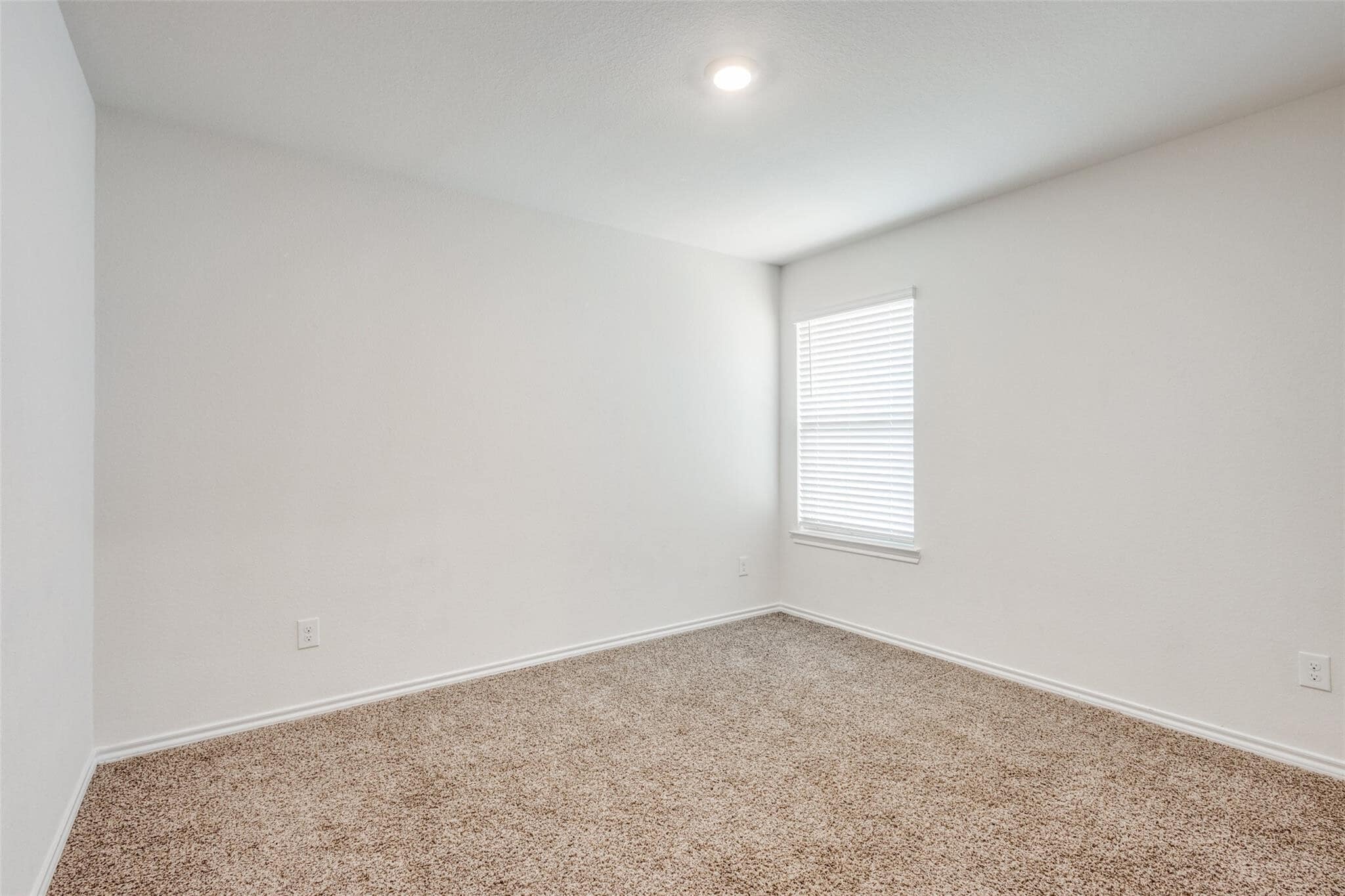 Building Photo - 111 Barbara Ln