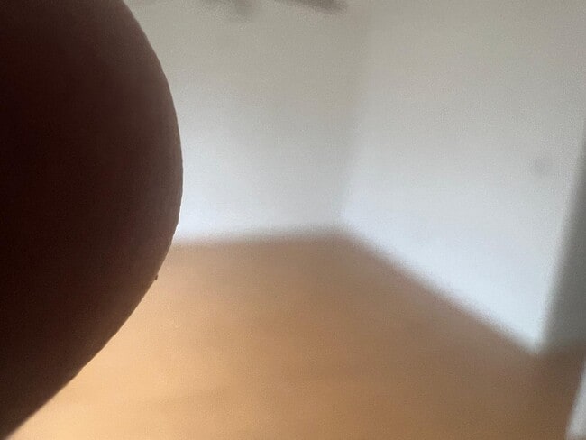 Building Photo - 5292 Bosque Ln