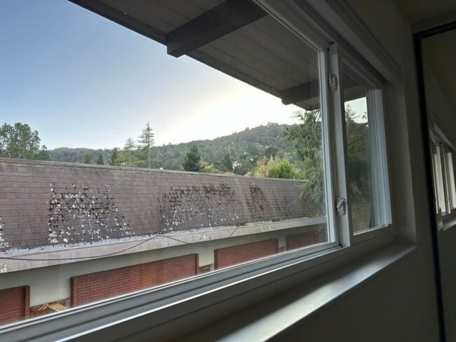 Building Photo - EPIC REA: 2 BR/1 BA Townhome w/ 1 Parking in Great Corte Madera