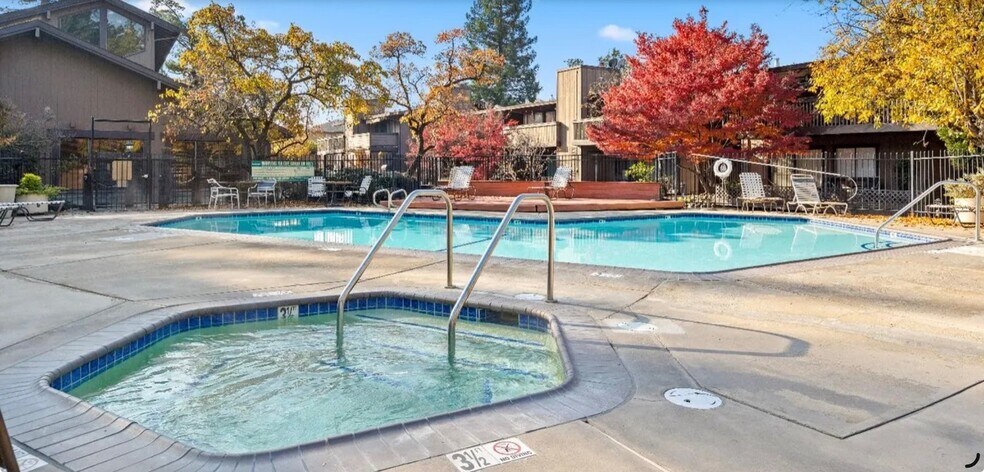 Pool and jacuzzi - 911 Fulton Ave