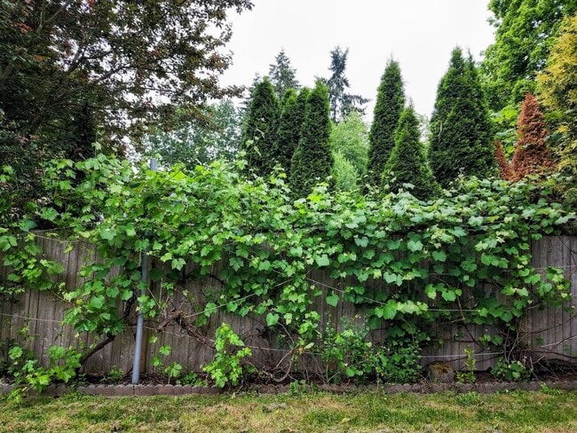 Building Photo - Welcome to your new home in the heart of Juanita!