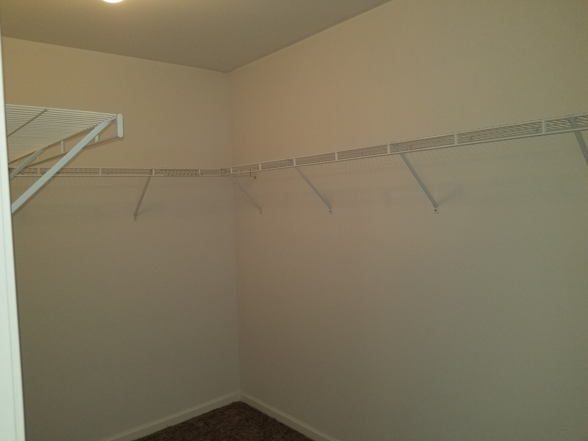 Building Photo - 1196 Megan Ct